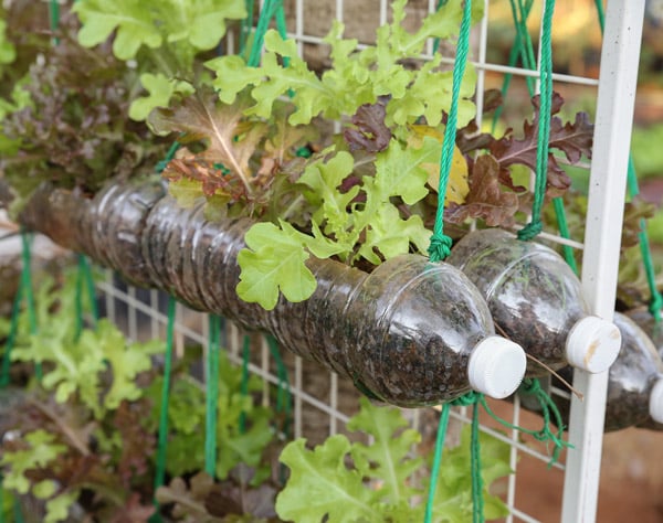 Blog-EDECA-Ideas-para-utilizar-el-plastico-de-la-mejor-manera-dos